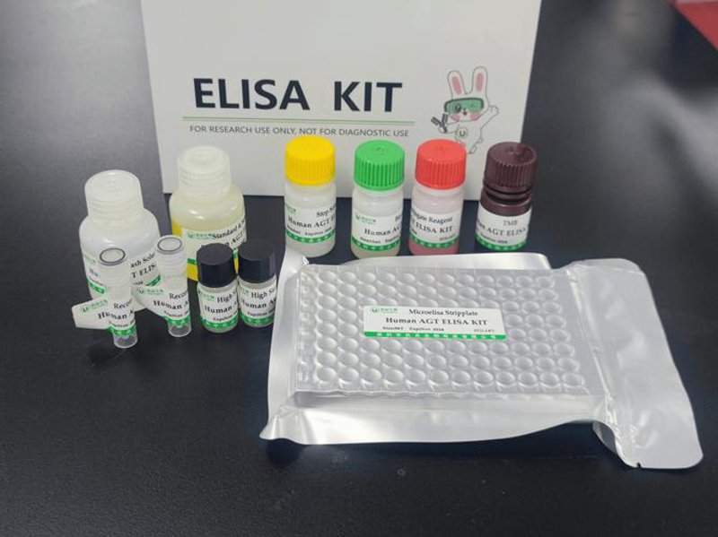 生物科技公司的创新火花：引领未来科技潮流的新动力