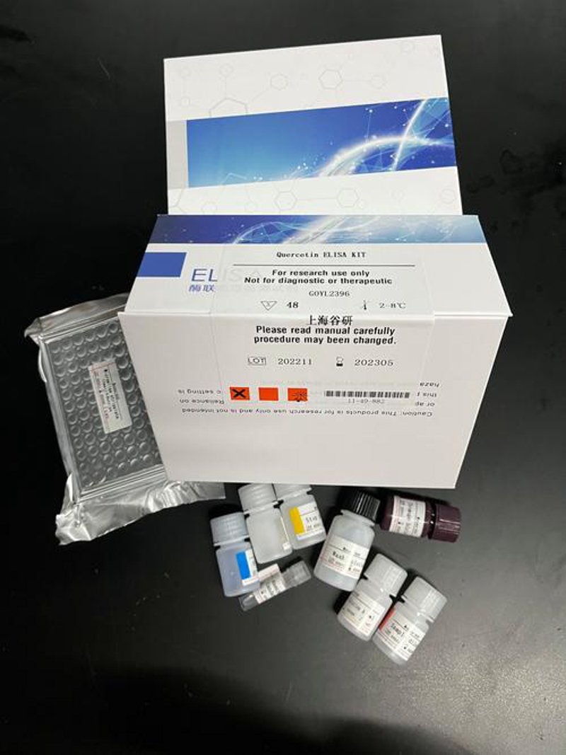 上海生物科技：未来的希望之光